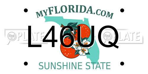 L46UQ Florida License Plate