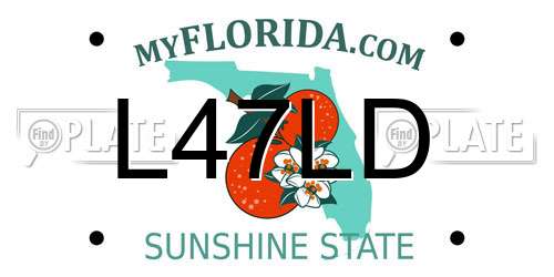 L47LD Florida License Plate