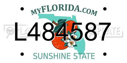 L484587 Florida License Plate