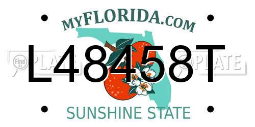 L48458T Florida License Plate