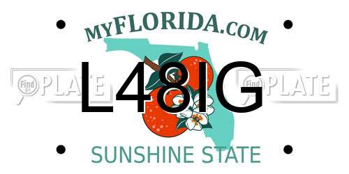L48IG Florida License Plate