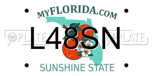 L48SN Florida License Plate