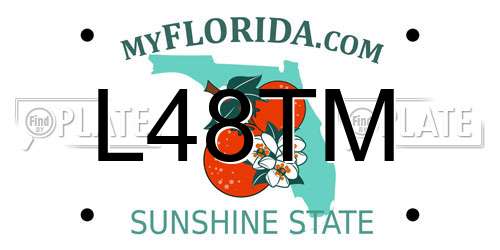 L48TM Florida License Plate