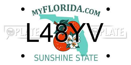 L48YV Florida License Plate