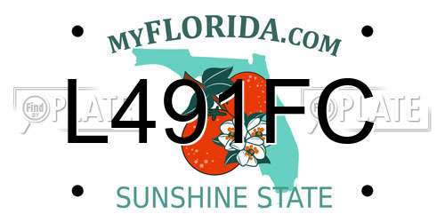 L491FC Florida License Plate