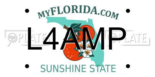 L4AMP Florida License Plate