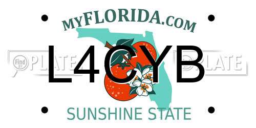 L4CYB Florida License Plate