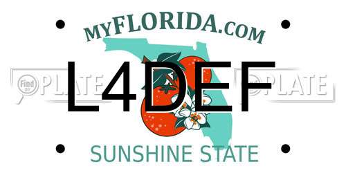 L4DEF Florida License Plate