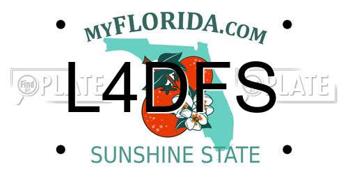 L4DFS Florida License Plate