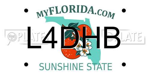 L4DHB Florida License Plate