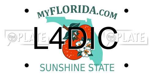 L4DIC Florida License Plate