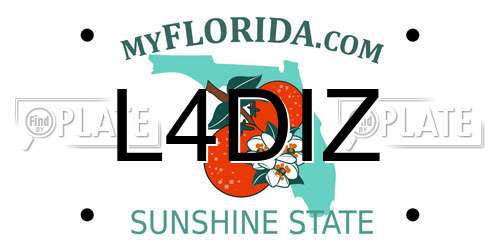 L4DIZ Florida License Plate