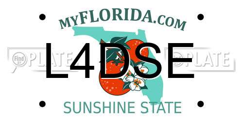 L4DSE Florida License Plate