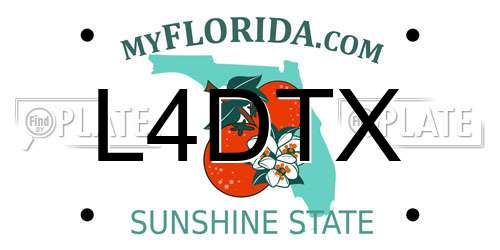 L4DTX Florida License Plate