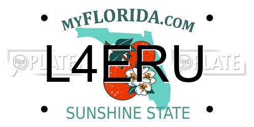 L4ERU Florida License Plate