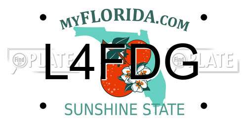 L4FDG Florida License Plate