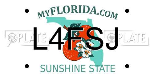 L4FSJ Florida License Plate