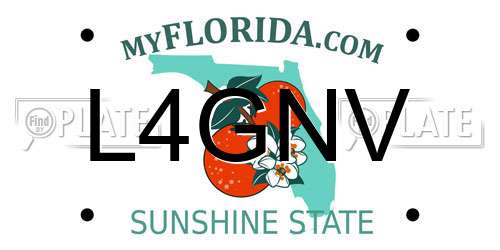 L4GNV Florida License Plate