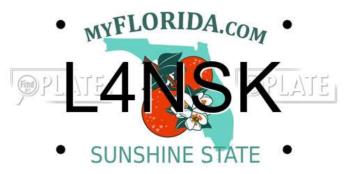 L4NSK Florida License Plate