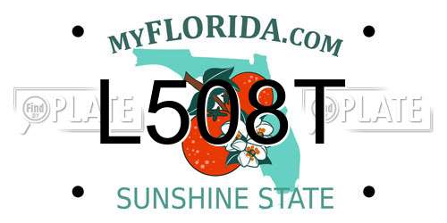L508T Florida License Plate