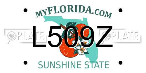 L509Z Florida License Plate
