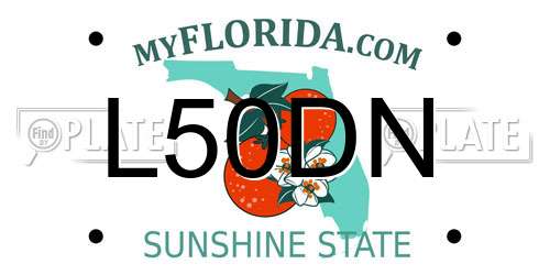 L50DN Florida License Plate