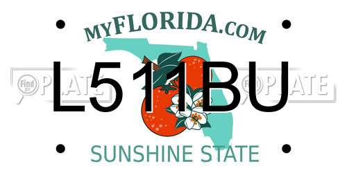 L511BU Florida License Plate