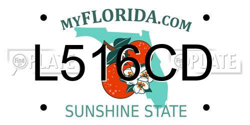 L516CD Florida License Plate