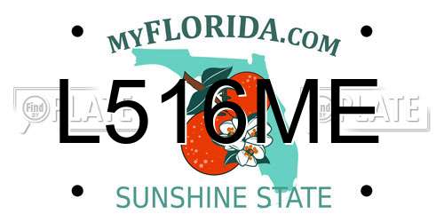 L516ME Florida License Plate