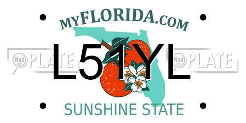 L51YL Florida License Plate