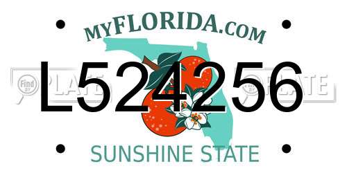 L524256 Florida License Plate