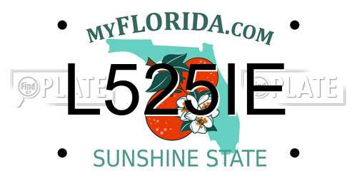 L525IE Florida License Plate