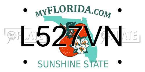 L527VN Florida License Plate