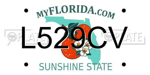 L529CV Florida License Plate