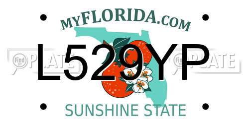 L529YP Florida License Plate