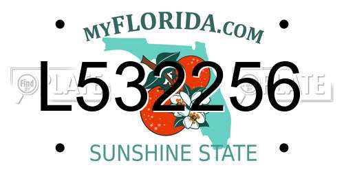 L532256 Florida License Plate