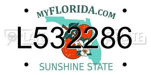 L532286 Florida License Plate