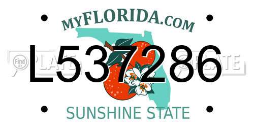 L537286 Florida License Plate