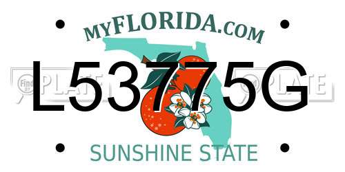 L53775G Florida License Plate