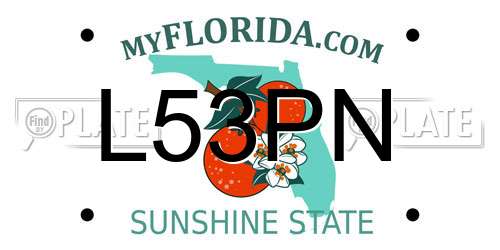 L53PN Florida License Plate