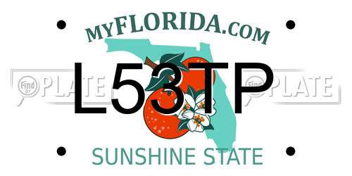 L53TP Florida License Plate