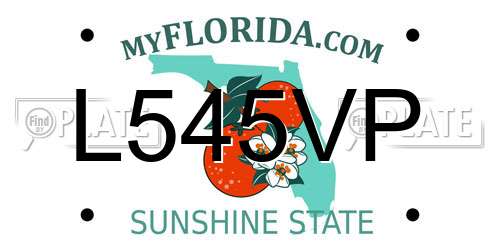 L545VP Florida License Plate