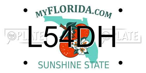 L54DH Florida License Plate