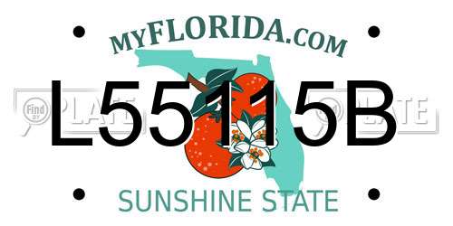L55115B Florida License Plate