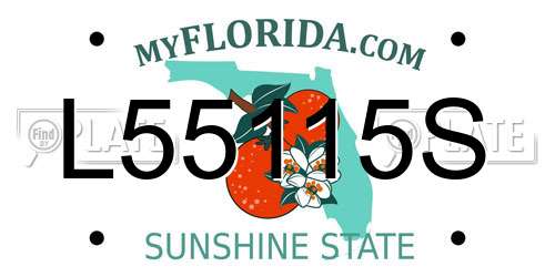 L55115S Florida License Plate