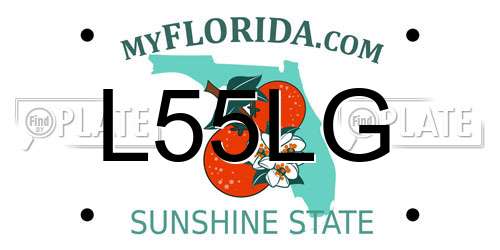 L55LG Florida License Plate