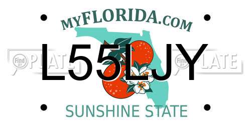 L55LJY Florida License Plate
