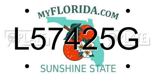 L57425G Florida License Plate