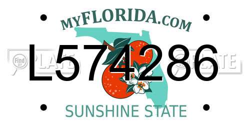 L574286 Florida License Plate