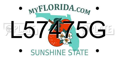 L57475G Florida License Plate